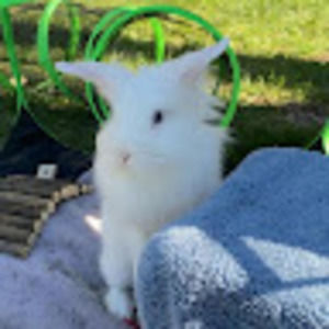 Meet your Posher, Maggie